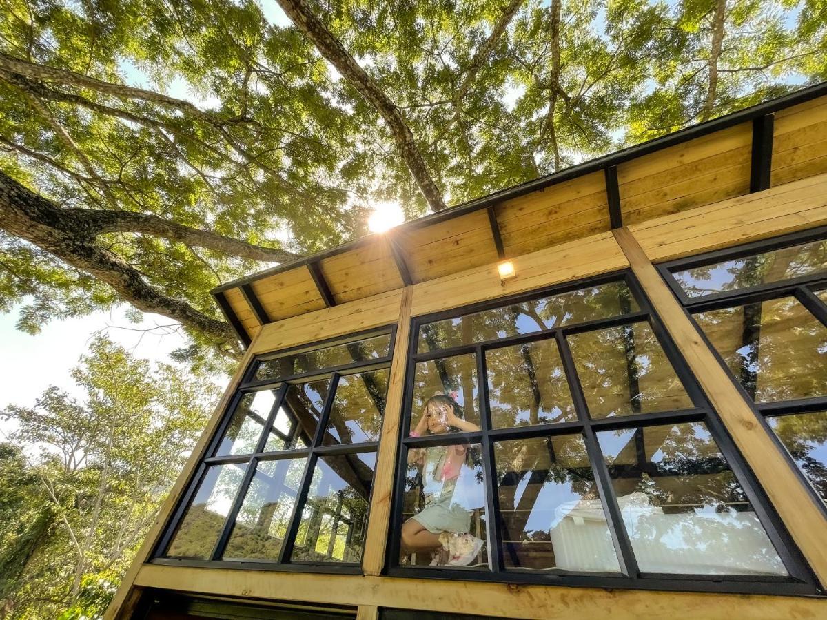 Casa En El Arbol Villa Utica Luaran gambar