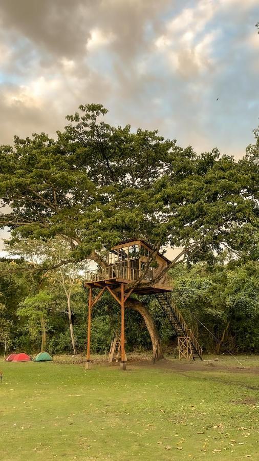 Casa En El Arbol Villa Utica Luaran gambar